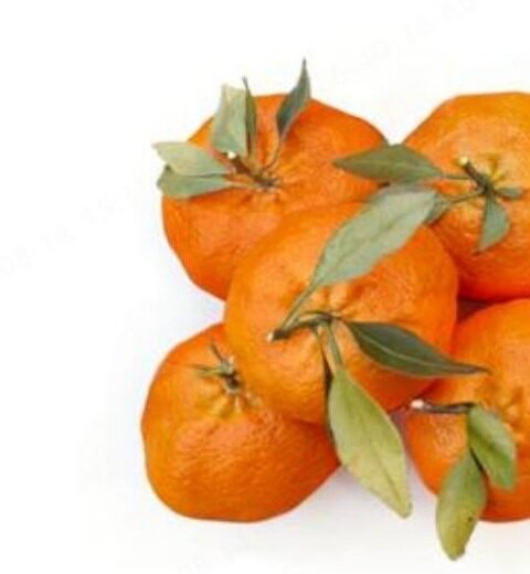 Mandarina con film reflectante Dawnsens